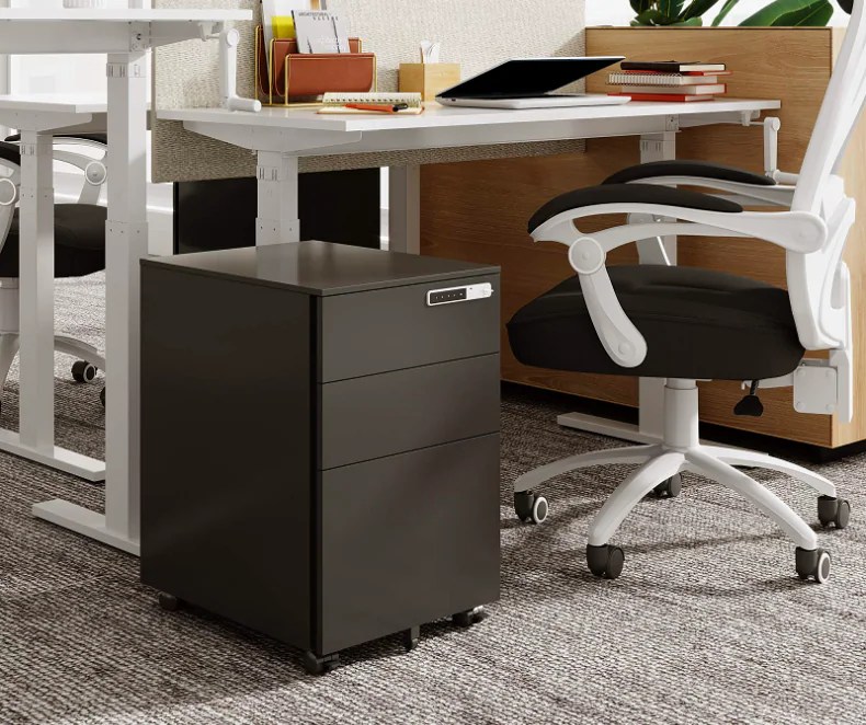 Importance of Filing in an Office FlexiSpot